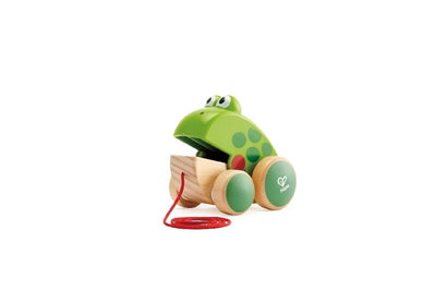 Hape Nachziehfrosch Fridolin von Hape | Holzfrosch Fliegen fressendes Nachzieh-Spielzeug für Kleinkinder, leuchtende Farben