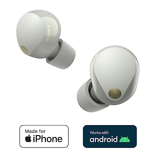 Sony WF-1000XM5 Kabellose Noise Cancelling Kopfhörer, Bluetooth, In-Ear-Kopfhörer, Mikrofon, bis zu 24 Stunden Akkulaufzeit, Schnellladefunktion, IPX4, iOS & Android kompatibel - Silber, klein