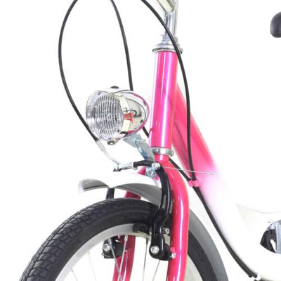 Fliuyr Kinderfahrrad 20 Zoll 6 Speichen,Ballett Fahrrad,Einstellbare Geschwindigkeit&Höhe,V-Brake Bremsen, Jugendrad mit Vordere,Hintere Schutzbleche und Vorderes Licht,Kinder Fahrrad für Mädchen