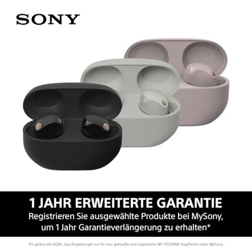 Sony WF-1000XM5 Kabellose Noise Cancelling Kopfhörer, Bluetooth, In-Ear-Kopfhörer, Mikrofon, bis zu 24 Stunden Akkulaufzeit, Schnellladefunktion, IPX4, iOS & Android kompatibel - Silber, klein