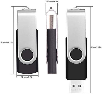 2GB USB Stick 10 Stück Speichersticks - Einklappbarer USB 2.0 Memory Sticks 2 GB USB Flash Laufwerk Datenspeicher - FEBNISCTE Pendrive Schwarz Flash Drive für Freunde mit 10er Pack Bunt Bändchen