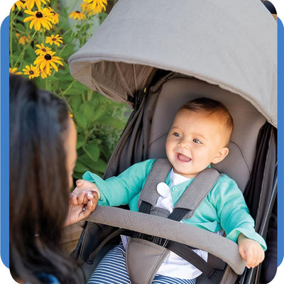 Joie Muze Kinderwagen mit vollem Funktionsumfang, kompakter faltbarer Babywagen mit 5-Punkt-Gurt, kompatibel mit Reisesystem, flach liegend und geeignet für Geburt bis 15 kg (Geburt - 36 Monate)