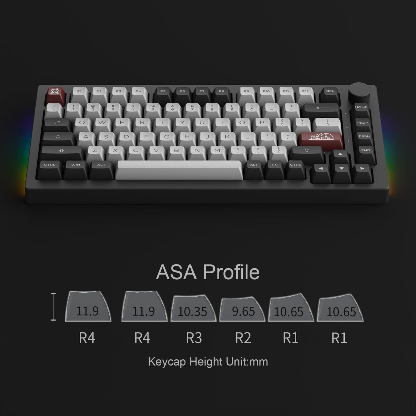 Akko Dracula Castle 5075B Plus Wireless Gaming Tastatur | LED RGB mit PBT-Tastenkappen | 2.4GHz Bluetooth | USB-C kabelgebundene Tastatur | V3 Cream Blue Pro