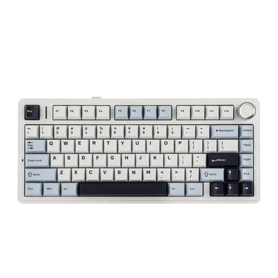 EPOMAKER x Aula F75 Gasket Mechanische Tastatur, 75% Hot swap-fühige Gaming-Tastatur mit Fünf-Schicht-Polsterung&Knopf, Bluetooth/Wireless/USB-C, RGB (Light Blue, LEOBOG Reaper Switch)