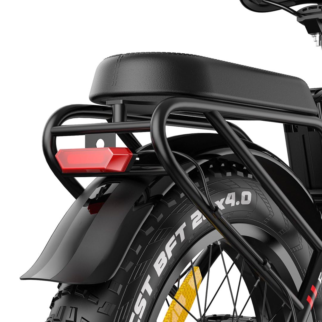 Fafrees F20 Max Elektrofahrräder, Klapprad Elektrofahrrad für Damen und Herren, 20 Zoll E-Fahrrad mit Abnehmbarer 48V22.5Ah Akku, 25km/h, Ebike Max Reichweite 120 km, Schwarz