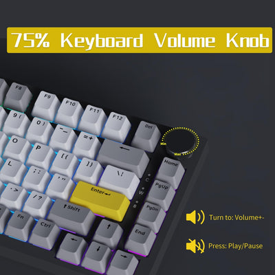 AJAZZ AK820 Kabelgebundene Mechanische Tastatur, Gaming-Tastatur, Südausrichtung RGB|Lautstärkeregler|82 Tasten|PBT-Tastenkappen|Poron Cotton|Hot-Swap-Fähiger, Custom Drivers für Windows MacOS Linux