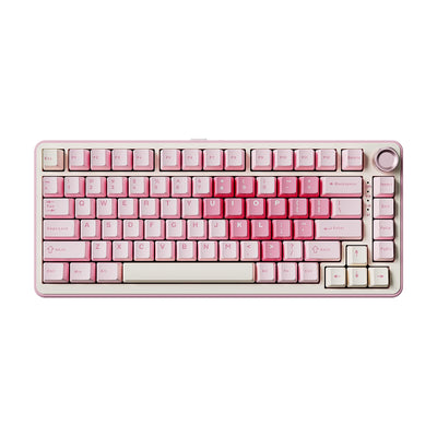 YUNZII B75 PRO Drahtlose Mechanische Tastatur, 75% Gaming Tastatur Dichtung Hot Swap Custom Tastatur mit Knopf, Vorgeschmierte Schalter RGB, Tri-Mode Tastatur (Pink, Cocoa Cream V2 Switch)