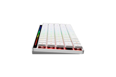 ASUS ROG Falchion RX Low Profile 65% kabellose Gaming-Tastatur (QWERTZ-Layout, optische ROG RX Low-Profile-Switches, Bluetooth, 2,4-GHz-RF Wireless, kabelgebunden USB, MacOS kompatibel, weiß)