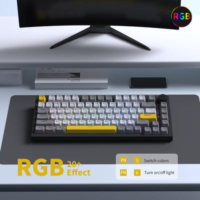 AJAZZ AK820 Kabelgebundene Mechanische Tastatur, Gaming-Tastatur, Südausrichtung RGB|Lautstärkeregler|82 Tasten|PBT-Tastenkappen|Poron Cotton|Hot-Swap-Fähiger, Custom Drivers für Windows MacOS Linux