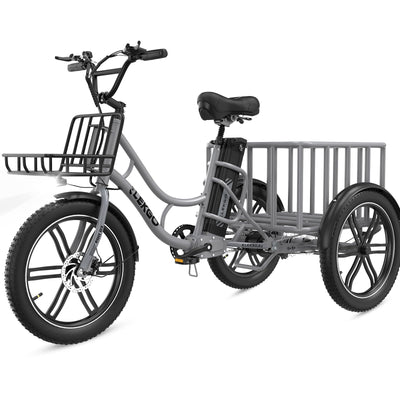 ELEKGO 20 Zoll E Bike Dreirad, 48V 18AH abnehmbare Batterie Tragfähigkeit 200 KG, Fettreifen + hinterer Gepäckkorb und Scheinwerfer, Lastenfahrrad, Elektro-Dreirad für Reichweite bis zu 40-60Km (Gray)