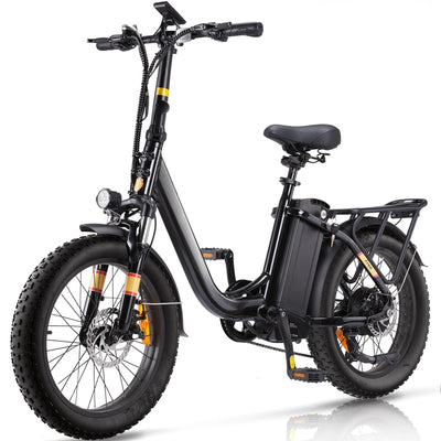 Finbike E Bike mit 48V 15.6Ah Abnehmbare Akku,20 * 3.0 Zoll Fette Reifen All-Terrain Elektrofahrräder,7-Gang Getriebe mit LCD-Display,PAS-Modus Max Reichweite 120KM,Pedelec Herren Damen 25km/h 250W