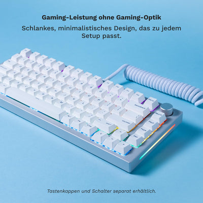 Glorious Pc Gaming Race GMMK Pro - 75% TKL Modular Gaming Keyboard Mechanical mit RGB Beleuchtung - Vollständige Anpassung auf Dichtungen montiert - Barebones (ISO-Layout, Weiß)