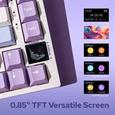 EPOMAKER Ajazz AK820 Pro Gasket Mechanische Tastatur mit Kabel/Bluetooth/kabellos, TFT Bildschirm, beleuchtet RGB, Schalldümpfende Foam für Win/Mac/PC (White Purple, Ajazz Flying Fish Switch)