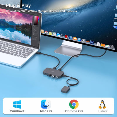 BENFEI USB 3.0 Switch, USB Switcher 2 Computer mit 1xUSB C Port und 3xUSB A Ports, 2 In 4 Out USB 3.0 Switcher mit Desktop-Kontroller, USB KVM Switch Selector kompatibel mit Windows Mac Linux