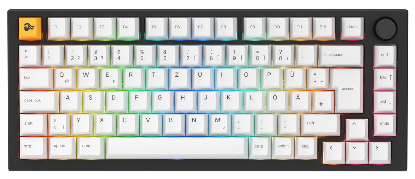 Glorious Gaming GMMK PRO 75% – Modulares mechanisches Gaming-Keyboard, TKL, Grundgerüst 1,5 kg, voll anpassbar, Spiralkabel, Handgelenkablage, PBT-Tastenkappen, Deutsch QWERTZ Layout - Schwarz