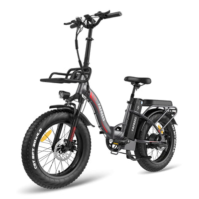 Fafrees F20 Max Elektrofahrräder, Klapprad Elektrofahrrad für Damen und Herren, 20 Zoll E-Fahrrad mit Abnehmbarer 48V22.5Ah Akku, 25km/h, Ebike Max Reichweite 120 km, Grau