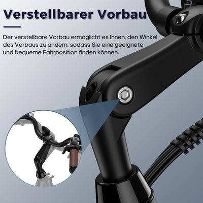 Fafrees E Bike 26 Zoll, Elektrofahrrad für Herren Damen mit 36V 20,3AH Akku, Citybike Elektrofahrräder Reichweite 80-200KM, 42N.m Drehmoment, F26 Lasting (Schwarz)