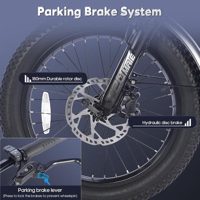 Fafrees Elektro Dreirad 20"*3.0 Zoll, F20 Mate e-Bike Dreirad klapprad, Lastendreirad 48V 18.2Ah Akku, e Bike 3 Rad 65N.m (Gepäckkorb hinten-Blau)