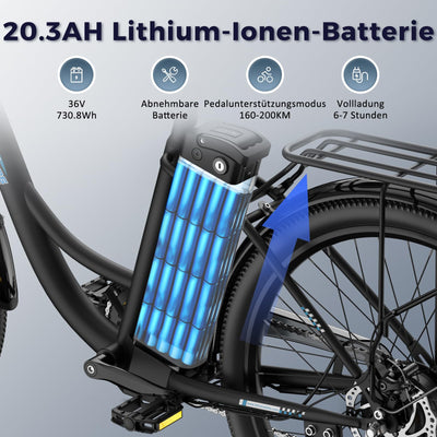 Fafrees E Bike 26 Zoll, Elektrofahrrad für Herren Damen mit 36V 20,3AH Akku, Citybike Elektrofahrräder Reichweite 80-200KM, 42N.m Drehmoment, F26 Lasting (Schwarz)