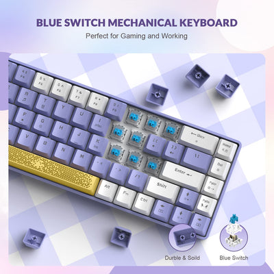 YINDIAO T8 60% Mechanische Gaming Tastatur,68 Tasten TKL Kompakt Layout,Kabelgebundene Tastatur,18 RGB Beleuchtung,Blauer Schalter,Anti-Ghosting,Pro USB-C Spiralkabel,für PC,MAC,PS4,Xbox -Lila