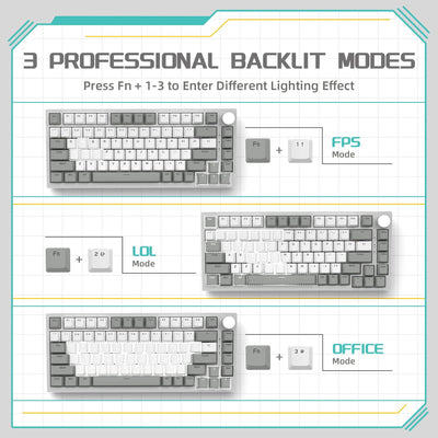 YINDIAO Ajazz AK820 Mechanische Tastatur mit Knopf,75% ANSI-Layout,81 Tasten,Kabelgebundene Gaming-Tastatur,Verbesserte Dichtungsmontage,Hot-Swap Roter Schalter,Eisweißes Licht,für PC,MAC (Grau&Weiß)