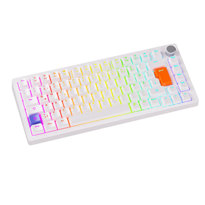 DrunkDeer A75 Rapid Trigger Mechanische Gaming-Tastatur Magnetic Switch 75% TKL RGB 82Keys USB verkabelt ISO DELayout，Weiß