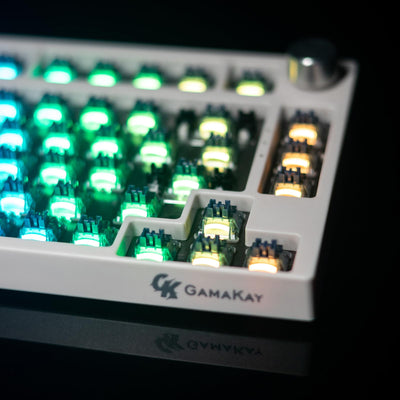 GK GAMAKAY Tactile Silent-Schalter mit LED Diffuser für Mechanischer Tastatur, 3 Pin Pre-lubed Switches MX Tastenschalter für Gaming Keyboard DIY Kit (Pegasus V2 Switch-70Pcs)