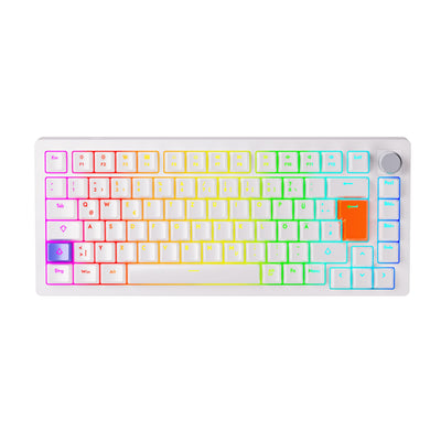 DrunkDeer A75 Rapid Trigger Mechanische Gaming-Tastatur Magnetic Switch 75% TKL RGB 82Keys USB verkabelt ISO DELayout，Weiß