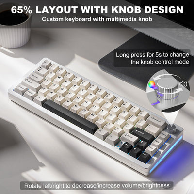 YUNZII AL66 Kabellose mechanische Tastatur, 65% Drehregler Aluminium Gaming Tastatur Bluetooth/2.4G/Wired Hot Swappable Switches, Dichtung montiert RGB Tastatur für Win/Mac(Milchschalter, Silber)