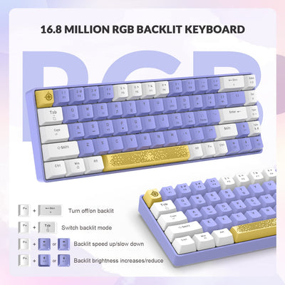 YINDIAO T8 60% Mechanische Gaming Tastatur,68 Tasten TKL Kompakt Layout,Kabelgebundene Tastatur,18 RGB Beleuchtung,Blauer Schalter,Anti-Ghosting,Pro USB-C Spiralkabel,für PC,MAC,PS4,Xbox -Lila