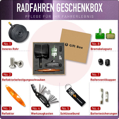 Fafrees F20 Light, ebike klappbar 20 Zoll, City e-Bike Herren Damen 36V 16.75Ah, Elektrofahrrad 250W 25km/h, e Bike klapprad Reichweite bis zu 65-130 km, E-Fahrrad (Schwarz)