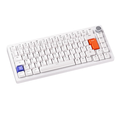 DrunkDeer A75 Rapid Trigger Mechanische Gaming-Tastatur Magnetic Switch 75% TKL RGB 82Keys USB verkabelt ISO DELayout，Weiß