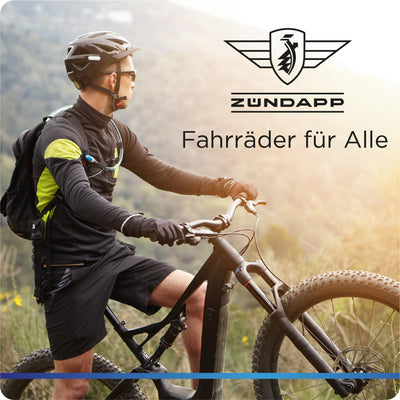 ZÜNDAPP Faltrad E-Bike 20 Zoll Z101 Klapprad Pedelec StVZO Elektrofaltrad 6 Gang (schwarz)