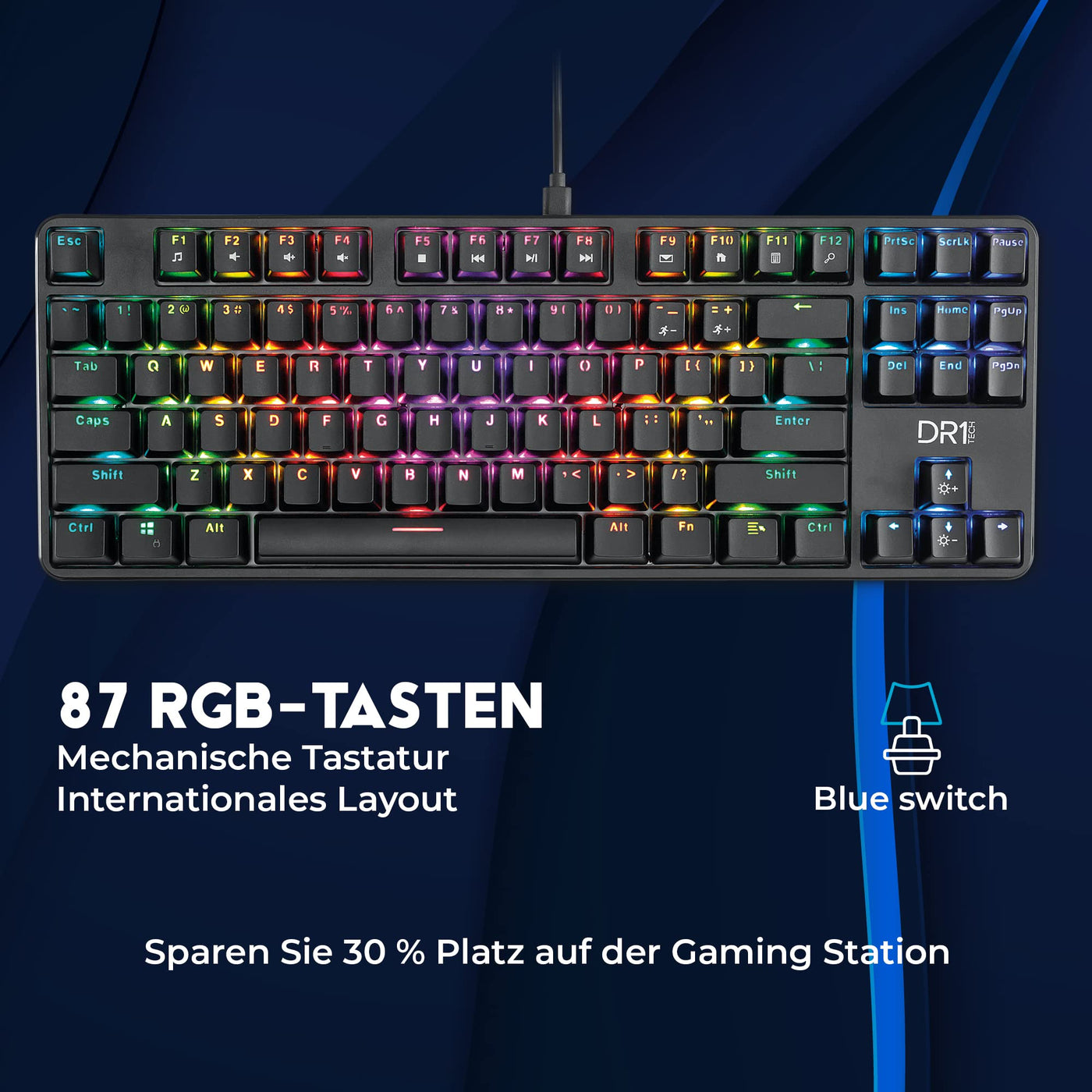 DR1TECH Raven Mechanische TKL Gaming Tastatur Für PC/PS4 mit RGB Hintergrundbeleuchtung - 87 Tasten Anti Ghosting - Ergonomische USB Tastatur mit Kabel (Internationales-Layout)