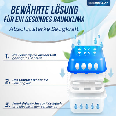 4x Luftentfeuchter ohne Strom - Raumentfeuchter mit 8 x 400g Nachfüll-Beutel Granulat für Küche, Bad & Wohnzimmer - Schimmel- und Geruchsschutz (4X Luftentfeuchter)