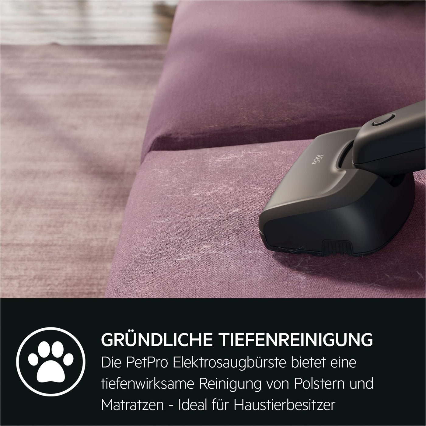 AEG QX6-1-45AN Akku Staubsauger kabellos / Staubsauger beutellos / leise / Handstaubsauger akku / 45 min Laufzeit / leicht / Hartboden / 2in1 / Tierhaare / Hund / Katze / Teppich / Auto / grau