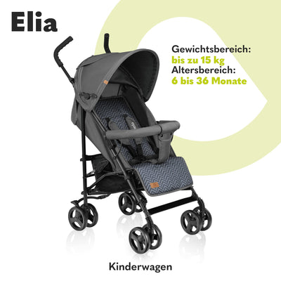 LIONELO Elia Buggy Klein Zusammenklappbar Kinderwagen Bis 15 Kg, Rücken Und Fußstützenverstellung Hinterradbremse, Moskitonetz, Beinwärmer, Einkaufskorb - Graphit