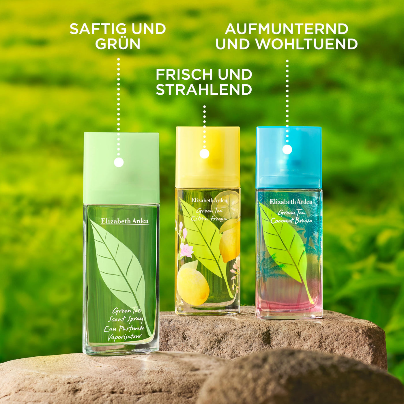 Elizabeth Arden - Green Tea, Eau de Parfüm, Parfüm mit Naturessenzen wie Grüner Tee und Bergamotte, erfrischend, blumig und zitrusartiger Duft, weckt die Sinne, belebt - 100 ml