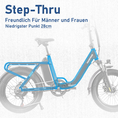 HANEVEAR H6-Light E Bike Klappbar, E Bike Herren Damen mit Drehmomentsensor, 14,5Ah 48V Abnehmbar Akku bis zu 120km+ Elektrofahrrad, 55N.m 250W-Motor, 3.0'' Fat E-Bike Für 160cm (Rotgussgrau)