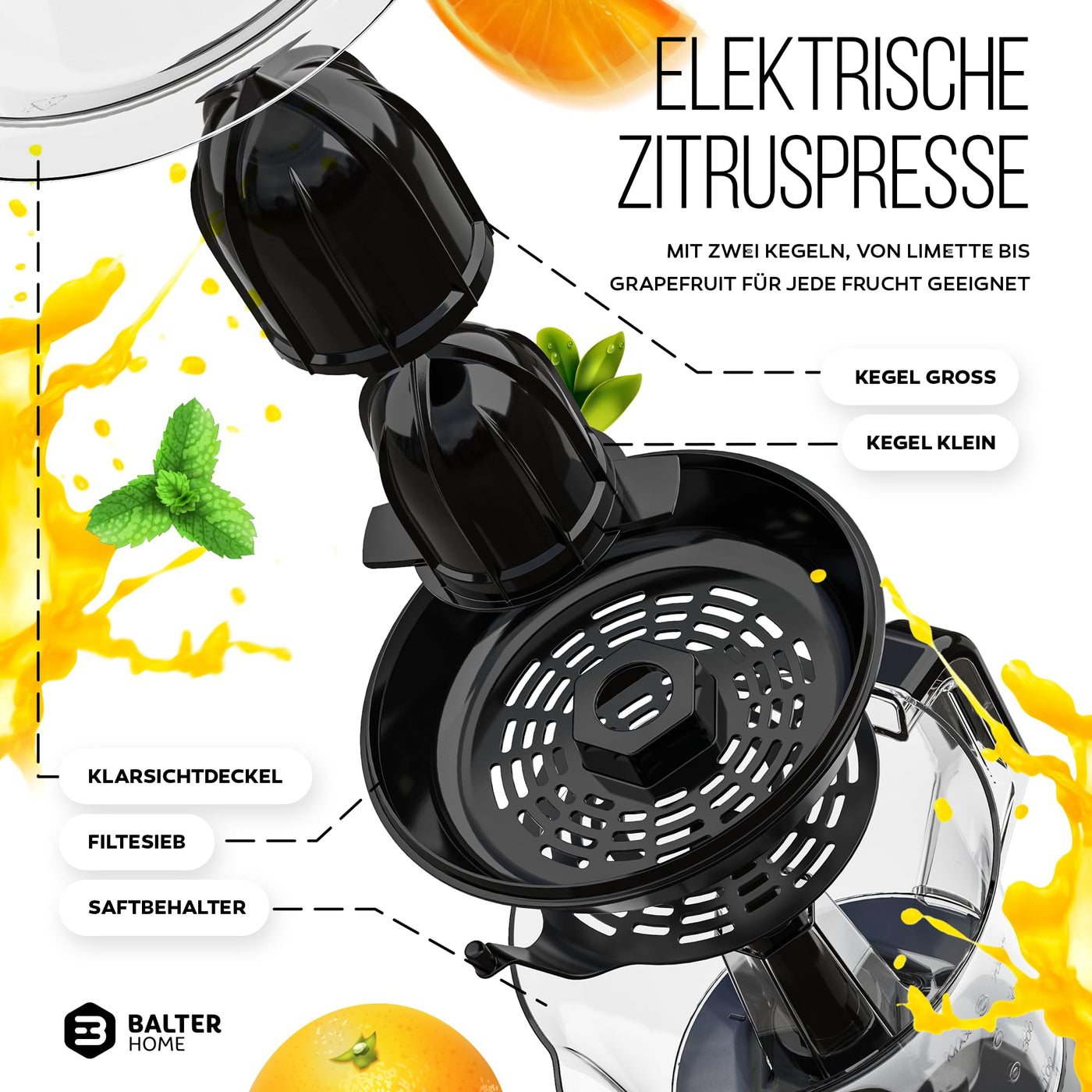 Presse-citron électrique Balter ZP-04 - Rendement élevé en jus, 2 sens de rotation et 2 cônes - Presse-agrumes - Presse-agrumes orange - Passe au lave-vaisselle, sans BPA