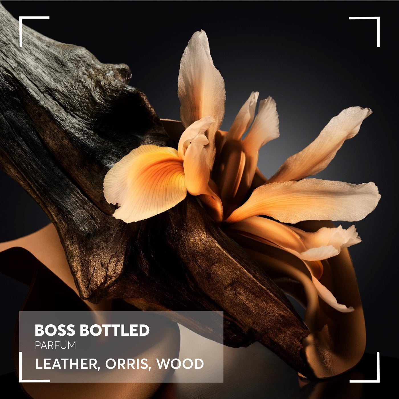 BOSS Bottled Parfum für Herren