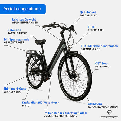 Bergsteiger Hampton 28 Zoll City E-Bike mit 250 Watt Motor, Scheibenbremsen, Aluminium Ebike für Damen & Herren, Farbdisplay, Elektrofahrrad mit Shimano 6 Gang-Schaltung