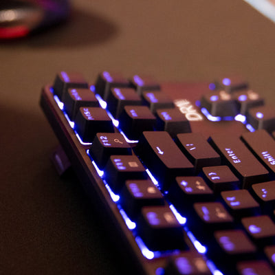 DR1TECH Raven Mechanische TKL Gaming Tastatur Für PC/PS4 mit RGB Hintergrundbeleuchtung - 87 Tasten Anti Ghosting - Ergonomische USB Tastatur mit Kabel (Internationales-Layout)