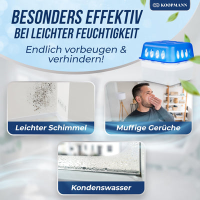 4x Luftentfeuchter ohne Strom - Raumentfeuchter mit 8 x 400g Nachfüll-Beutel Granulat für Küche, Bad & Wohnzimmer - Schimmel- und Geruchsschutz (4X Luftentfeuchter)