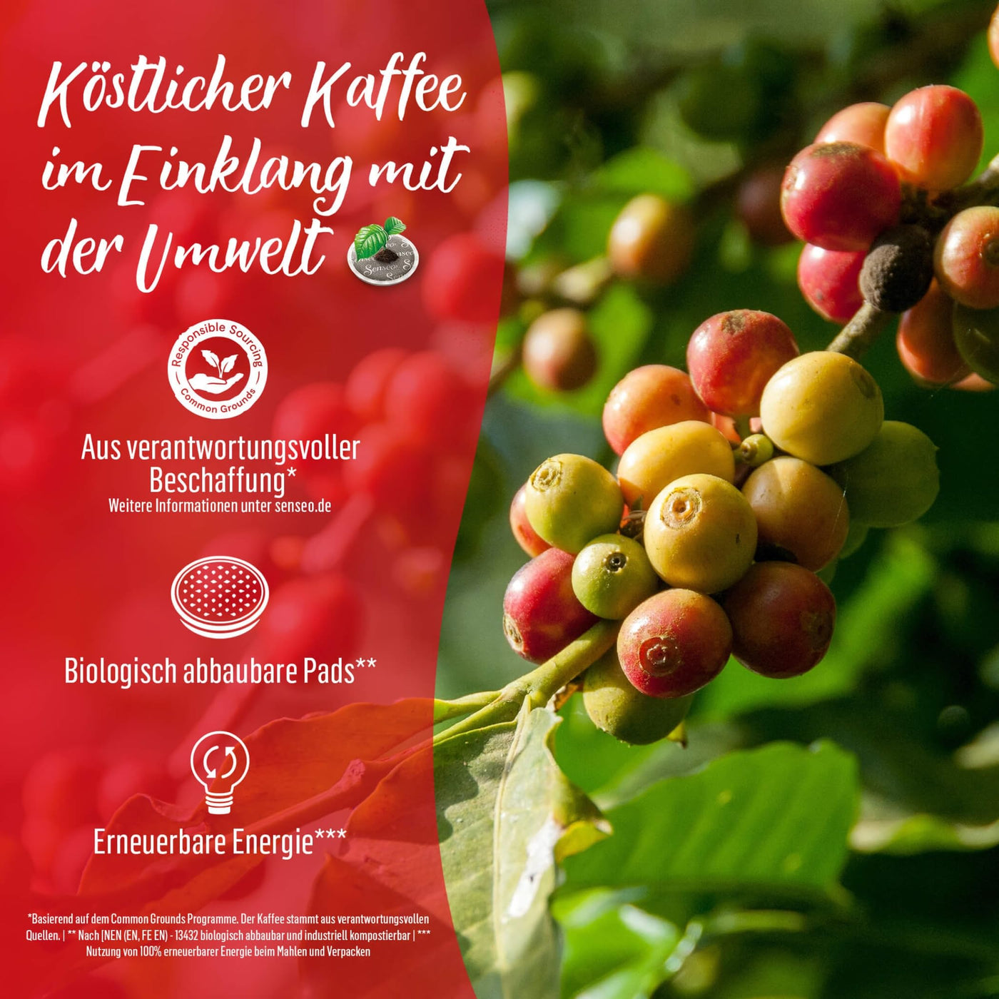 Senseo Pads Classic - Kaffee RA-zertifiziert - 5 Vorratspackungen x 32 Kaffeepads