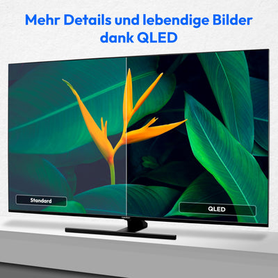 MEDION X15574 (MD 30987) 138,8 cm (55 Zoll) QLED Fernseher (Smart TV, 4K, Dolby Vision HDR, Dolby Atmos, Subwoofer, Netflix, Prime Video, PVR, Bluetooth, MEMC, Micro Dimming)