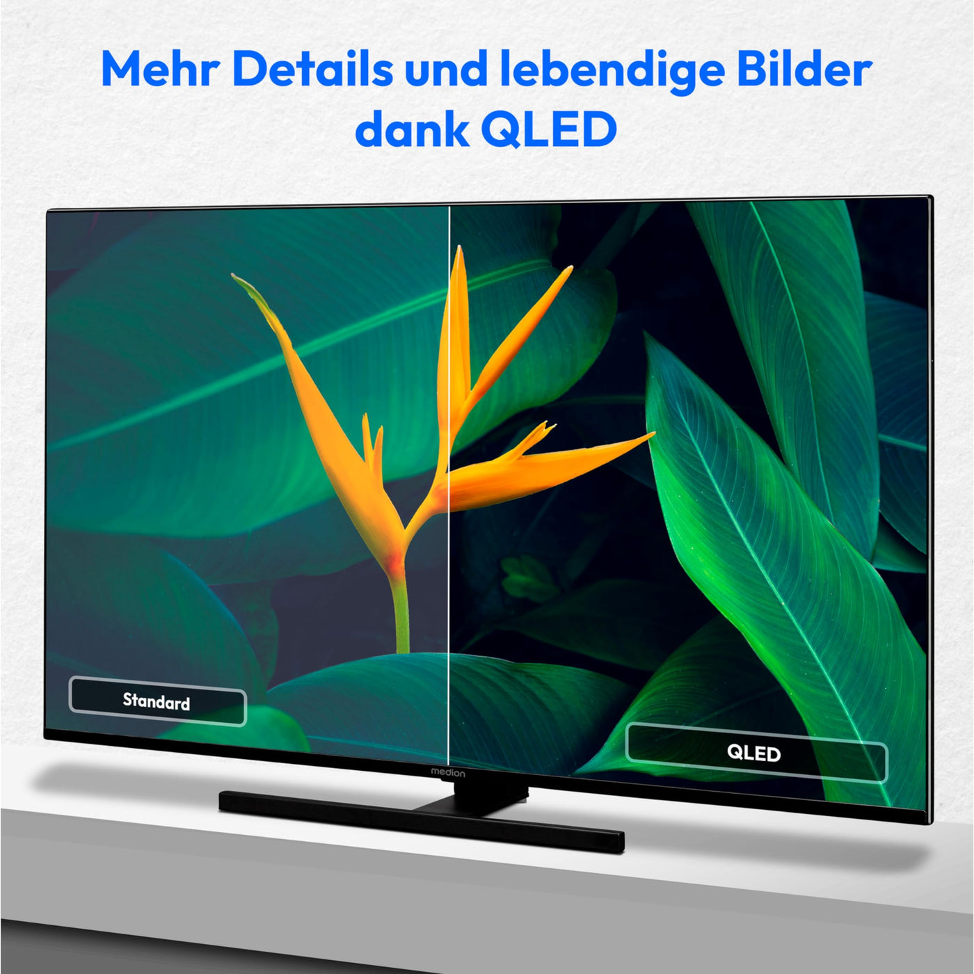 MEDION X15576 (MD 31258) 138,8 cm (55 Zoll) QLED Fernseher (Android TV, 4K, Dolby Vision HDR, Dolby Atmos & DTS X, Subwoofer, Netflix, Prime Video, Smart TV)