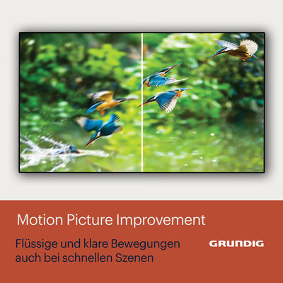 GRUNDIG 55 VOE 84 Q Fernseher 55 Zoll (139 cm) QLED TV, VPI 1800, Google TV, 4K UHD, Dolby Vision, HDR10+, Motion Picture Improvement, Chromecast Built-in, Bluetooth, Smart TV, Schwarz