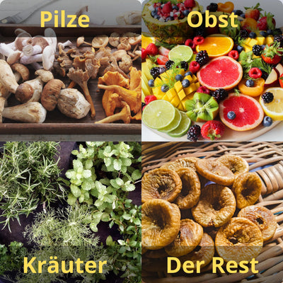 ADLER Küchenminis Dörrautomat, Dörrgerät für Obst, Pilze, Fleisch, Gemüse, Pflanzen, Kräuter & Gewürze - LCD Bedienfeld, 5 Tabletts, Dehydrator, Timer, 550W, Gefriertrockner, kräutertrockner